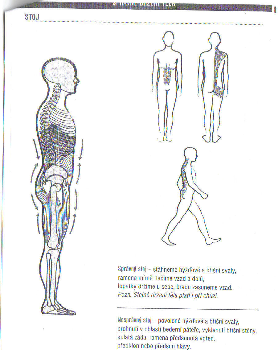 nácvik správného stoje