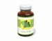 celitin.jpg